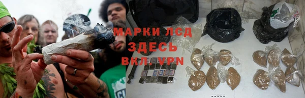 спайс Горняк