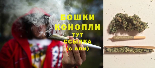 спайс Горняк