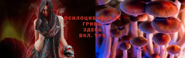 спайс Горнозаводск