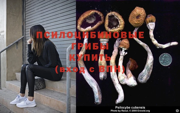 спайс Горнозаводск