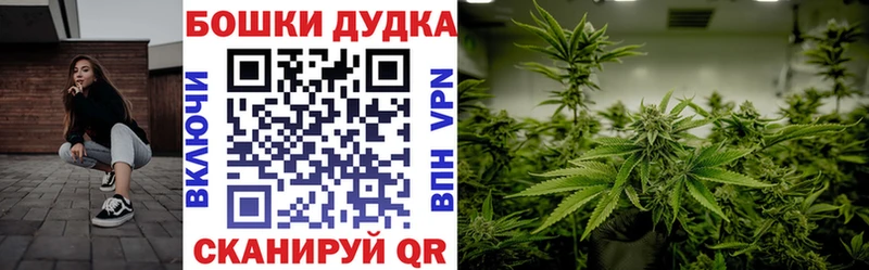 Купить где  Подпорожье  Конопля Ganja 